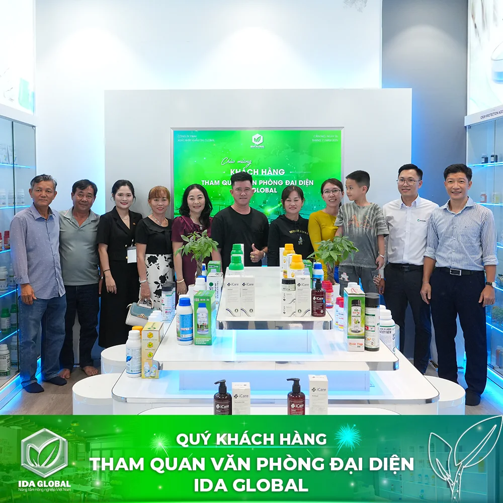 Đối tác và khách hàng tham quan văn phòng đại diện IDA Global