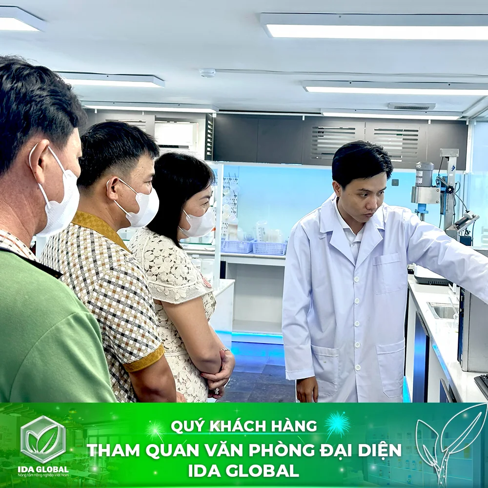 Khách hàng tìm hiểu hoạt động nghiên cứu tại văn phòng IDA Global